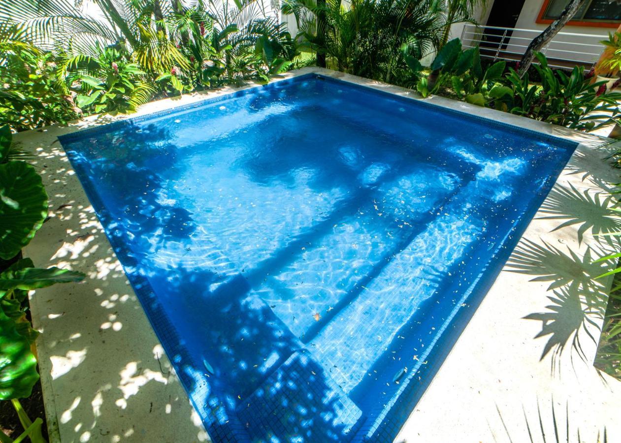 Cancun Airport Condo Hotel Apartment With Pool And Security المظهر الخارجي الصورة